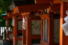 DSC09192