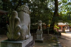 DSC09193