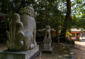 DSC09193
