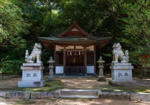 DSC09194