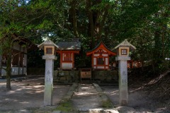 DSC09196