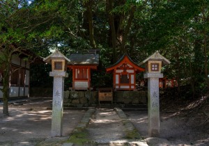 DSC09196