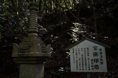 DSC09209