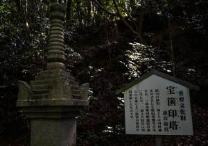 DSC09209