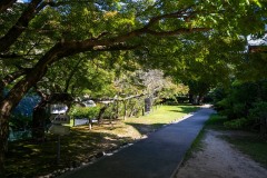 DSC09217