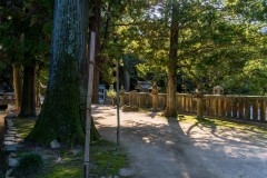 DSC09382
