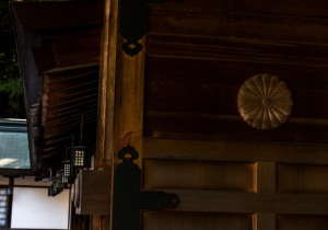 DSC09388