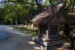 DSC09390