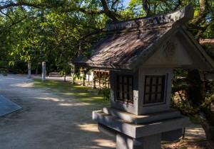 DSC09390