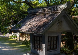 DSC09391