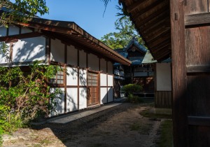 DSC09425