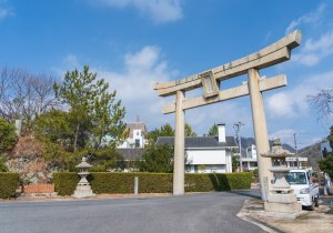 SBJ01183