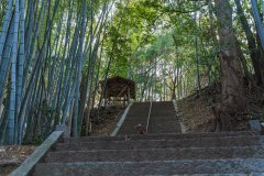 DSC02418-Enhanced-NR