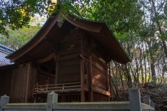 DSC02426-Enhanced-NR