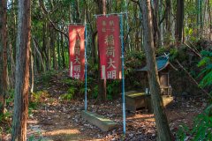 DSC02428-Enhanced-NR