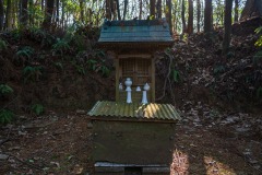 DSC02429-Enhanced-NR