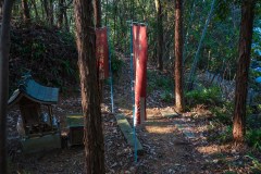 DSC02431-Enhanced-NR