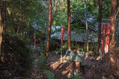 DSC02432-Enhanced-NR