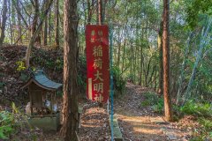 DSC02433-Enhanced-NR