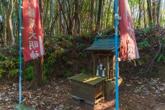 DSC02434-Enhanced-NR