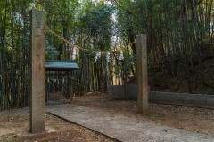 DSC02441-Enhanced-NR