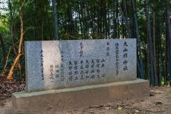 DSC02443-Enhanced-NR