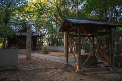 DSC02444-Enhanced-NR