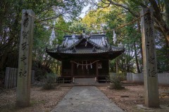 DSC02446-Enhanced-NR