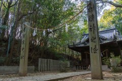 DSC02449-Enhanced-NR