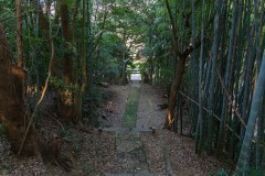 DSC02450-Enhanced-NR