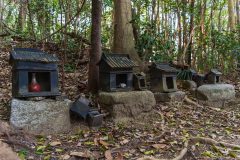 DSC02452-Enhanced-NR