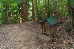 DSC02453-Enhanced-NR