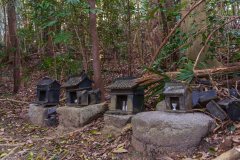 DSC02457-Enhanced-NR