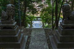 DSC02458-Enhanced-NR