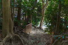 DSC02459-Enhanced-NR