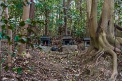 DSC02460-Enhanced-NR