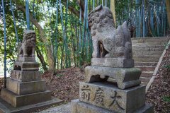 DSC02462-Enhanced-NR