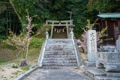 DSC02466-Enhanced-NR