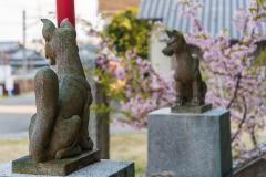 DSC02470-Enhanced-NR