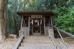 DSC02471-Enhanced-NR