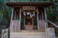 DSC02474-Enhanced-NR