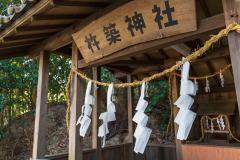 DSC02475-Enhanced-NR