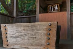 DSC02477-Enhanced-NR