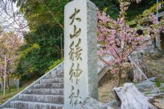 DSC02484-Enhanced-NR