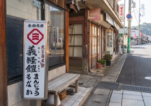 SBJ01401