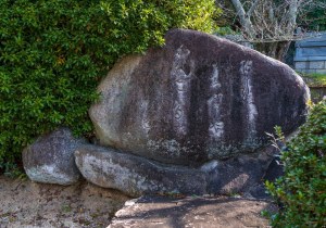 DSC05095