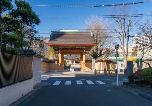 SBJ07182