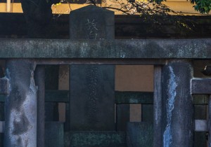 SBJ07226