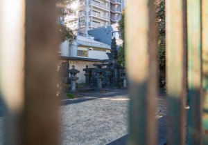 SBJ07231