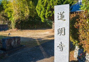 SBJ04798